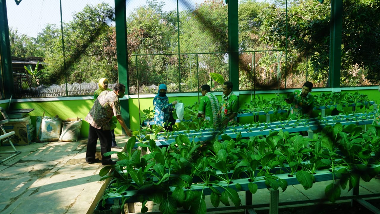 Terobosan Baru Kota Pekalongan, Miliki Laboratorium Kultur Jaringan