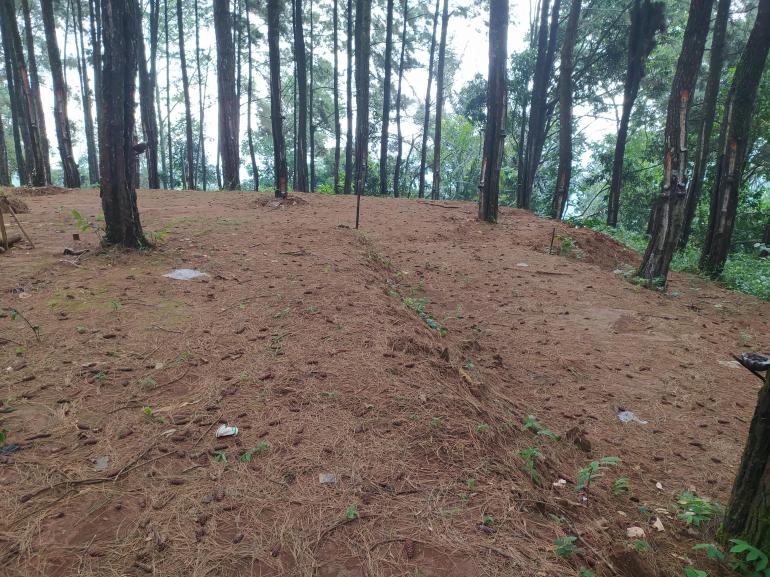 Bantu Koordinasi Petugas Sensus Lapangan, BPS Bekali Petugas Koseka