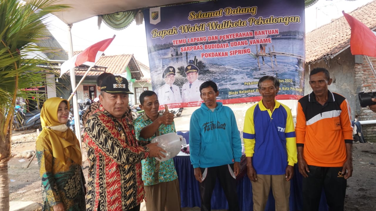 Prospek Bagus, Pemkot Serahkan Bantuan Sarpras Budidaya Udang Vaname Pokdakan Sipring