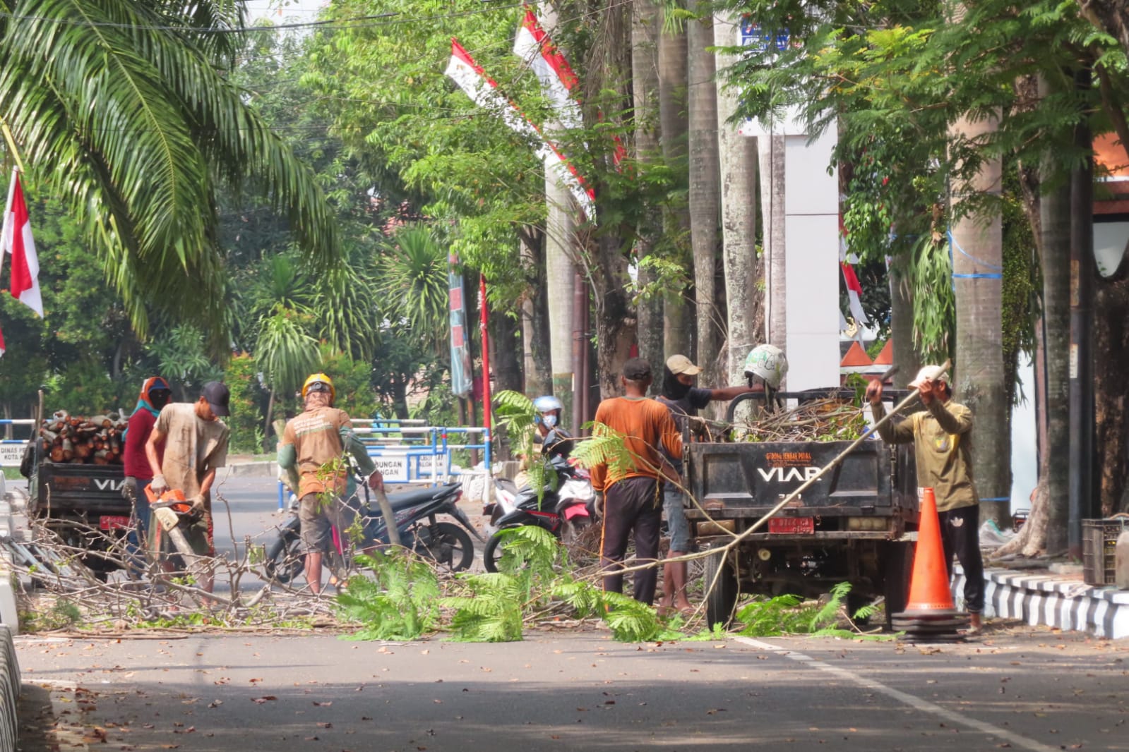 Ciptakan Kenyamanan Berlalu Lintas, Perantingan Pohon Dirutinkan
