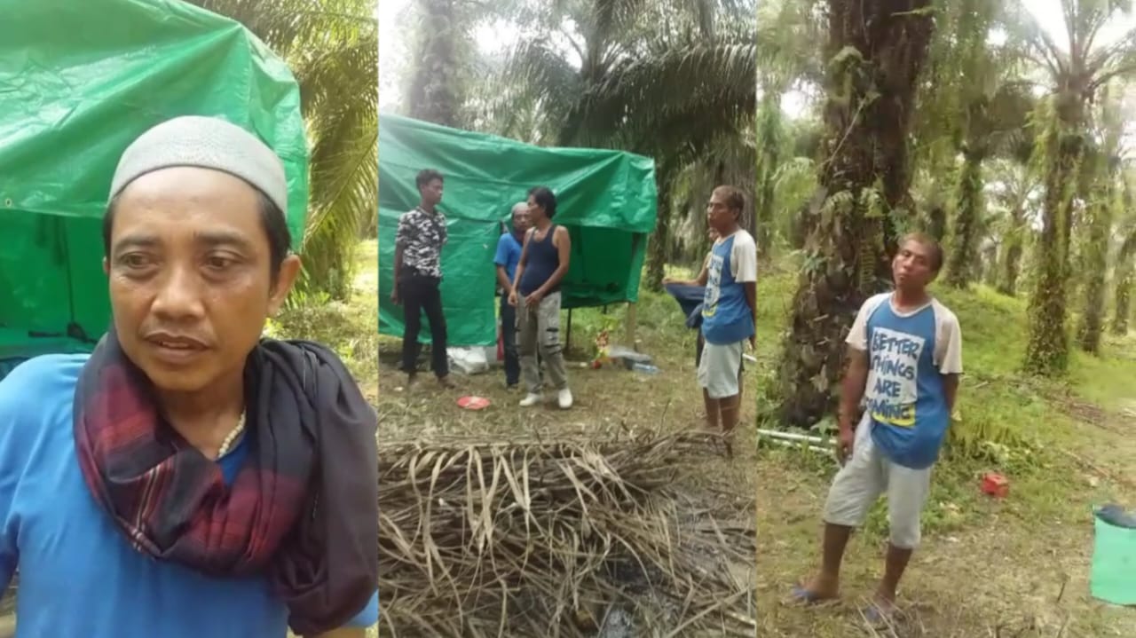 Warga Pekalongan Terjebak di Kalimantan Akibat Janji Palsu Gaji 2 Juta per Minggu